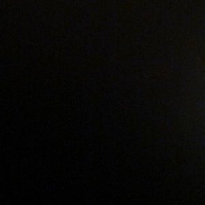 Meet your Posher, Eva